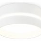 Накладной светильник Ambrella light TN TN5391