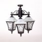 Потолочный светильник уличный Oasis Light VENECIA 2L 91870LA/3 Bl