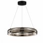 Подвесной светильник ST-Luce Foray SL6019.333.01