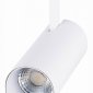 Светильник на штанге ST-Luce Mono ST350.536.20.24