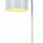 Интерьерная настольная лампа Zortes Desklight ZRS.1066.02