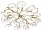 Потолочная люстра Loft IT Bloom 10352/1000C AB