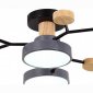 Потолочная люстра EVOLUCE Faema SLE6006-702-04