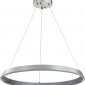 Подвесной светодиодный светильник Indigo Orta 14019/1P Silver V000091L