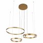 Подвесная светодиодная люстра ST Luce Onze SL944.203.04