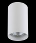 Точечный накладной светильник Lightstar Rullo 214436