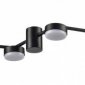 Потолочная люстра Lumion Sanata 8187/8C