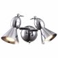 Настенный светильник Arte Lamp Picchio A9229AP-2CC