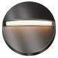 Накладной светильник Maytoni Outdoor Mane O046SL-L3B3K