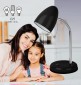 Настольная лампа офисная Эра N116 Б0047201