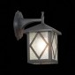 Настенный фонарь уличный ST Luce Lorne SL084.411.01