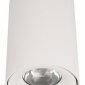 Потолочный светодиодный светильник Loft IT Tictac 10220 White 4000K