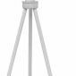 Настольная лампа Loft IT Nordic 1700-TWH+SW