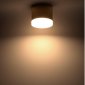 Накладной потолочный светильник Ritter Arton 59949 4