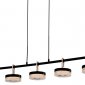 Подвесная люстра DeLight Collection P0855 P0855-5B black