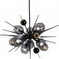 Потолочная люстра DeLight Collection Burst 9720P-10S black/smoky