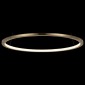 Подвесной светодиодный светильник Loft IT Ring 10014M