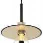 Подвесной светильник Lussole Loft LSP-8488