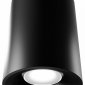Накладной светильник LIGHTERA Shamrock LE200CL-1B