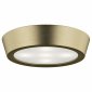 Настенно-потолочный светильник Lightstar Urbano Mini 214714