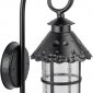 Настенный фонарь уличный Oasis Light CAIOR 1 81502/18 Bl
