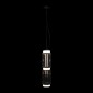 Подвесной светодиодный светильник Loft IT Noctambule 10194/M
