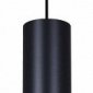 Подвесной светильник Reluce Technical 16007 16007-0.9-001LD 300mm GU10 BK+GD