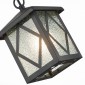 Уличный светильник подвесной ST Luce Lorne SL084.403.01