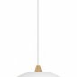 Подвесной светильник Arlight PEONY 39548