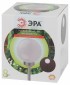 Грунтовый светильник ЭРА ERASF22-20