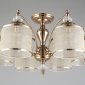 Потолочная люстра Aployt Agata APL.720.07.06