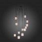 Подвесная люстра ST Luce Forto SL193.303.12