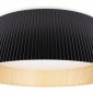 Потолочный светильник Loft IT Evans 10224 Black