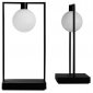 Интерьерная настольная лампа Artemide Curiosity 0175010A