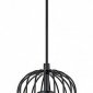 Подвесной светильник Escada Phoenix 10198/1S