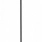Торшер Arte Lamp Alea A5068PN-1BK