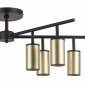 Потолочная люстра Lightstar Rullo LR728408