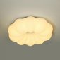 Потолочный светильник Soft ZRS.1118.4