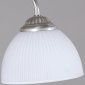 Потолочная люстра Reluce 07137-0.3-02 SN