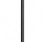 Торшер Lussole LGO Carmel LSP-0901-SE