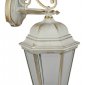 Настенный фонарь Oasis Light уличный ASTORIA 2 91402L 02 Gw