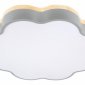 Потолочный светильник Loft IT Axel 10225/36 Grey