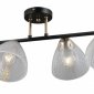 Потолочная люстра Illumico IL0739-4CSQ-24 BK FGD ARIES