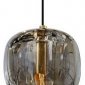 Подвесной светильник Belfast Pansy 6214-1 BR GR