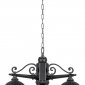 Уличный светильник подвесной Oasis Light FES 86370 3 02 Bl