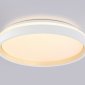 Накладной светильник Ambrella Light FZ FZ607