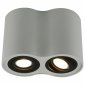 Потолочный светильник Arte Lamp A5644PL-2WH