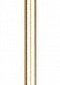 Настенный светодиодный светильник Loft IT Rays 10056GD