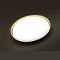 Настенно-потолочный светодиодный светильник Sonex Savi 7619/DL