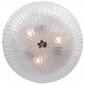 Потолочный светильник Lightstar Zucche 820830